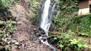 ＧＷ前半のエクシブ湯河原離宮＆伊豆３泊　不動滝　身代わり不動尊　出世大黒尊　フェラーリの障害者用車両