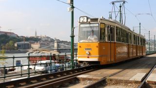 黄色い車体がかわいい