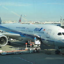 羽田国際線Ｔ　Ｂ７８７型機