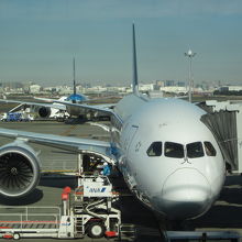 Ｂ７８７型機は顔が丸い？