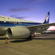 成田空港　Ｂ７３７型機