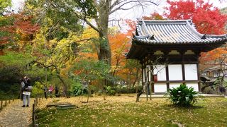 小ぶりでも風格