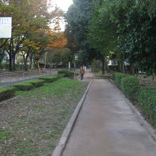 元茨木川緑地遊歩道