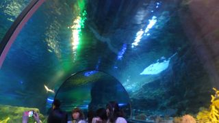 グアム唯一の水族館