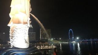 昼夜問わず混雑