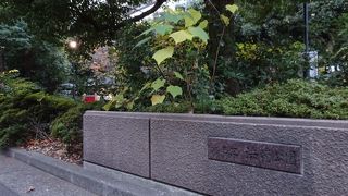 何のための公園？