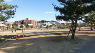 高層ビル群に囲まれた広い公園