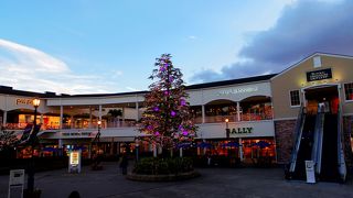 大きなクリスマスツリー