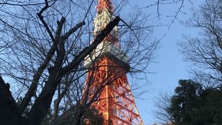 東京のシンボル