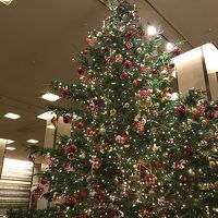 クリスマスツリー