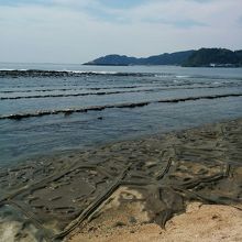 不思議な光景に圧巻です。