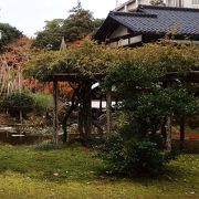 落ち着いた日本庭園