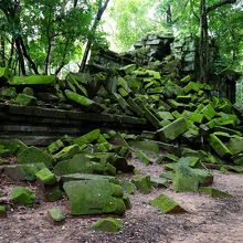 抹茶チョコレートみたい