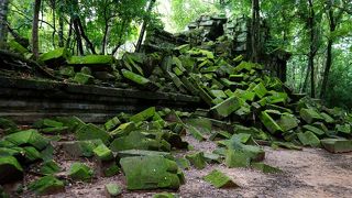 ジャングルの密林に眠るラピュタを思わせる古代遺跡