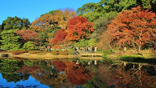 2017年皇居東御苑の紅葉