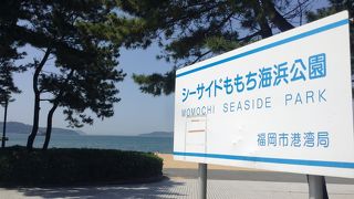 ヤフオクドーム裏