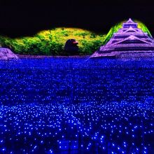 今年のテーマ。熊本のイルミネーション。