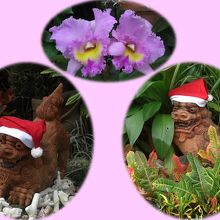 クリスマスムードを盛り上げてくれるシーサー。