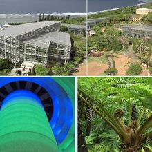 シンボルタワーの内部と高見台からの景色。目を引いたひかげへご