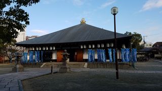 青いのぼりが新鮮