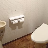 トイレの手を洗うのが昔懐かしい感じです。