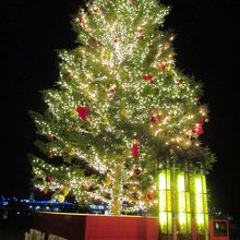 クリスマスマーケットのクリスマスツリー