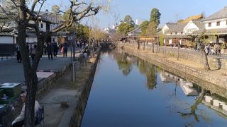 規模が大きい！