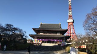 徳川家の墓がある