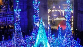 幻想的なイルミネーション