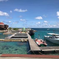 イルカのプールです