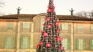 プロジェクションマッピングはお薦めです。