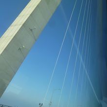 それにしてもコンクリートの橋脚は高さが有りますね