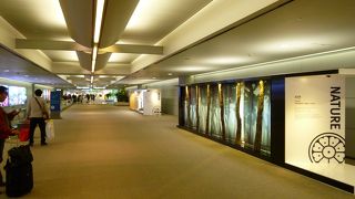 まだまだ広がります