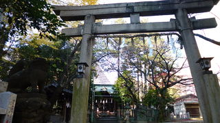 喧騒とは無縁の世界です