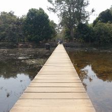 後半は橋のように。