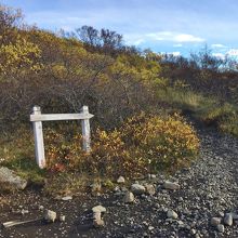 SvartifossからSjonarpinaへ