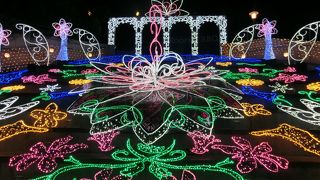 イルミネーションがキレかった