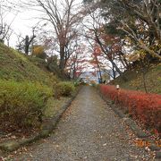 見事な連郭式平山城、佐野城。