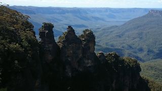 半日ツアーで行きました