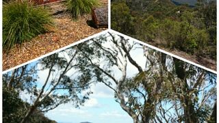 ナロウネック展望台