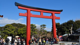 鶴岡八幡宮目の前の鳥居