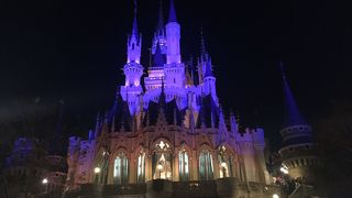 年末のランドは大混雑