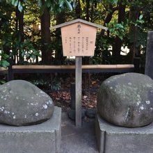 鶴岡八幡宮 鶴亀石 