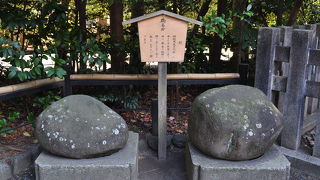 濡れたら見えるのでしょうか