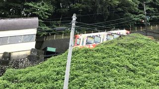 立山への出発点です。
