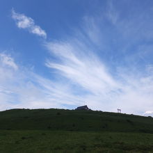 見上げると神社と青い空