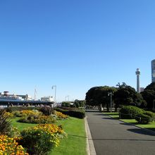 ゆっくりとお散歩したい公園です。