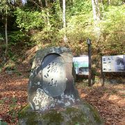 城山に登る目的いろいろ