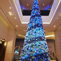 クリスマスシーズンにはツリーが綺麗