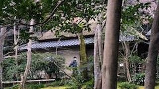 悲しい物語のお寺でした